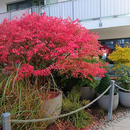 Stadtmitte Διαμέρισμα